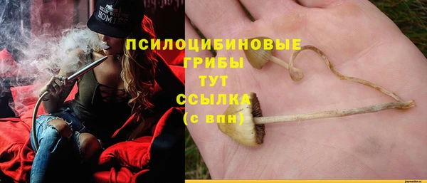 прущие грибы Алзамай