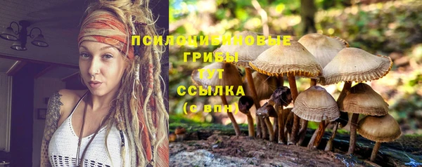 наркотики Абаза