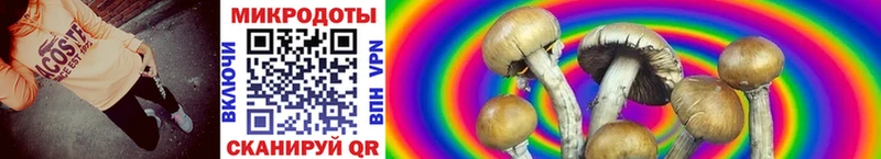Галлюциногенные грибы Psilocybine cubensis  наркошоп  Дятьково 